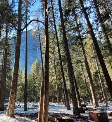 picture of Yosemite campground with snow, large trees, and mountain in the back 